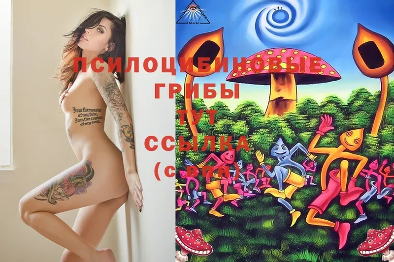 Псилоцибиновые грибы MAGIC MUSHROOMS  купить  цена  Кизел 