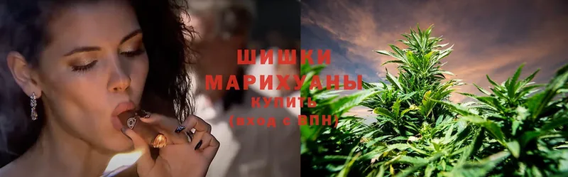 Марихуана SATIVA & INDICA  продажа наркотиков  Кизел 